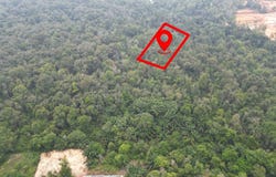Jalan Bukit Berdamar, Cyberjaya, Selangor 63000