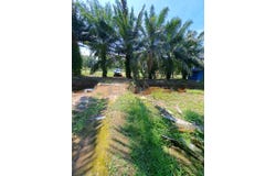 Banting, Selangor 42700