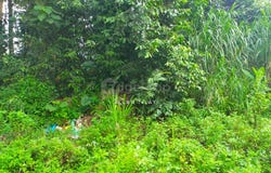 Rawang, Selangor 48000