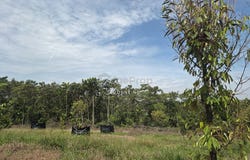 Semenyih, Selangor