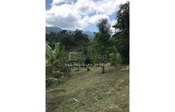 Bentong, Pahang 28750