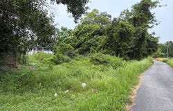 Paka, Terengganu 23000