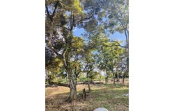 Tangkak, Johor 84900