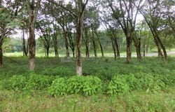 43500 Semenyih, Selangor, Semenyih, Selangor 43500