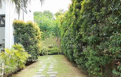 Jalan Medang , Bangsar, Kuala Lumpur 59000