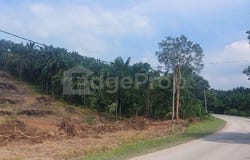 Maran Mengkarak, Pahang 26500