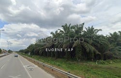 Kuala Langat, Selangor