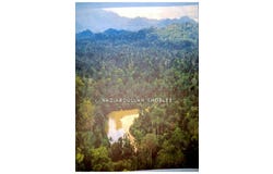 Jerantut, Pahang