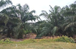 Sepang, Selangor, Sepang, Selangor 43950