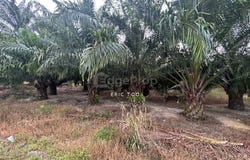 Sitiawan, Perak 32000