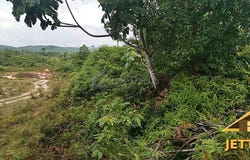 Kuala Selangor, Selangor