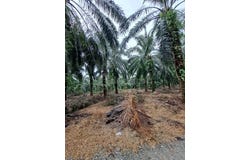 Banting, Selangor 42700