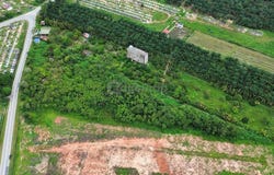 Pekan Nanas, Johor 81500