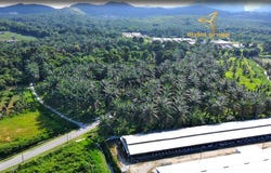 Jalan Bukit Teh, Kulim, Penang 14020