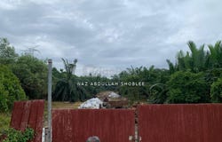 Pulau Carey, Selangor