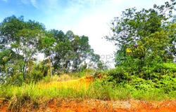 Puchong, Selangor 47120