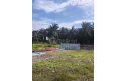 Pontian, Johor 81500