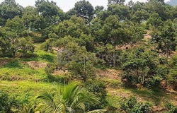 T, Jeram, Selangor 45800