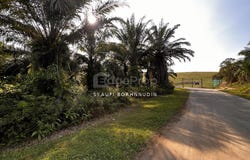 Sepang, Selangor 43900