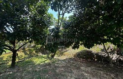 Jalan Sungai Kantan & Jalan Melati 1, Kajang, Selangor 43000