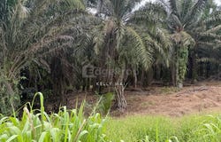 Kulai, Johor 81000