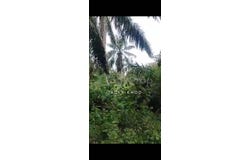 Banting, Selangor 42700