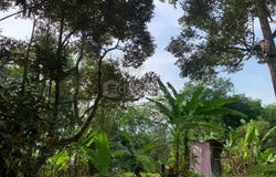 Bukit Bendera, Penang 22223