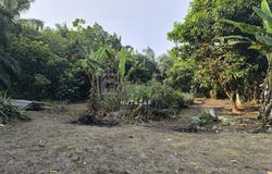 Banting, Selangor 42700