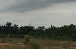 Klang, Selangor 41200