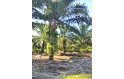 Telok Panglima Garang, Selangor 42500