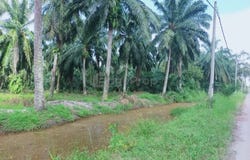 Kuala Selangor, Selangor 45600