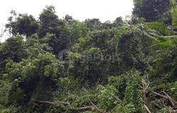 Jalan BBLS, Bangi, Selangor 43000