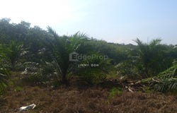 Tanjung Malim, Perak 35900