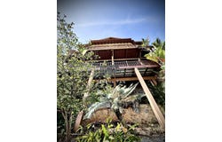 Tanjung Bungah, Penang 11200