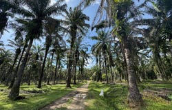 Batang Padang, Perak 35500