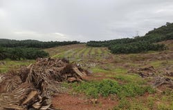 Segamat, Johor 85000