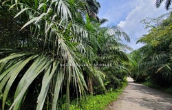 Dengkil, Selangor 63000