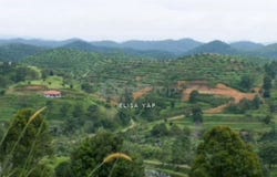 Karak, Pahang 28600