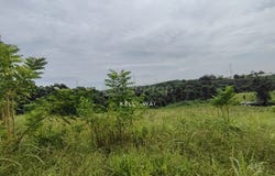 Johor Bahru, Johor 81200