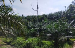 Bentong, Pahang 28700