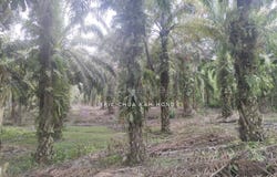 jalan sungkai, Sungkai, Perak 35600