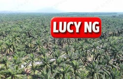 Larut Matang, Perak 34100