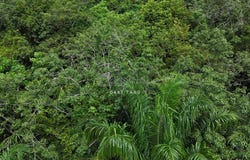 Sungai Siput Perlop, Kuala Kangsar, Perak 31100