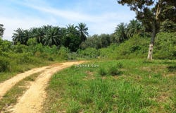 Sepang, Selangor 43900