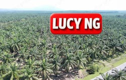 Larut Matang, Perak 34100