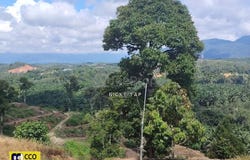 Kuala Kangsar, Perak 31100
