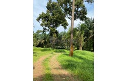Kulai, Johor 81000