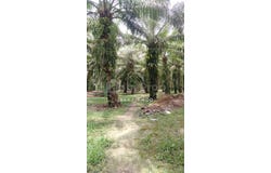 Jenjarom, Selangor 42600