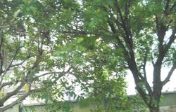 Jalan Jelok Impian, Kajang, Selangor 0