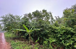 Alor Gajah, Melaka 78000